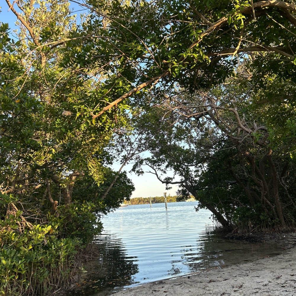 Meet your Posher, CuratedCloset89